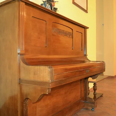 Oasi Neumann 3* Cortona