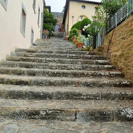 Oasi Neumann Cortona