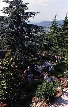 Hotel Oasi Neumann 3*
